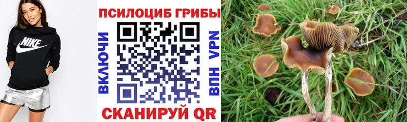 mega рабочий сайт  Белоозёрский  Псилоцибиновые грибы GOLDEN TEACHER  продажа наркотиков 