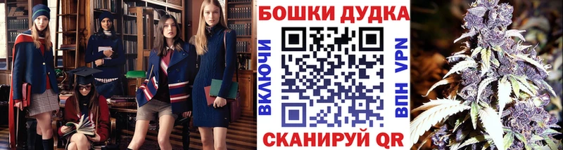 Каннабис индика  продажа наркотиков  Белоозёрский 